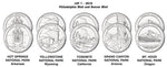 Unclaimed America the Beautiful Quarter Lots
